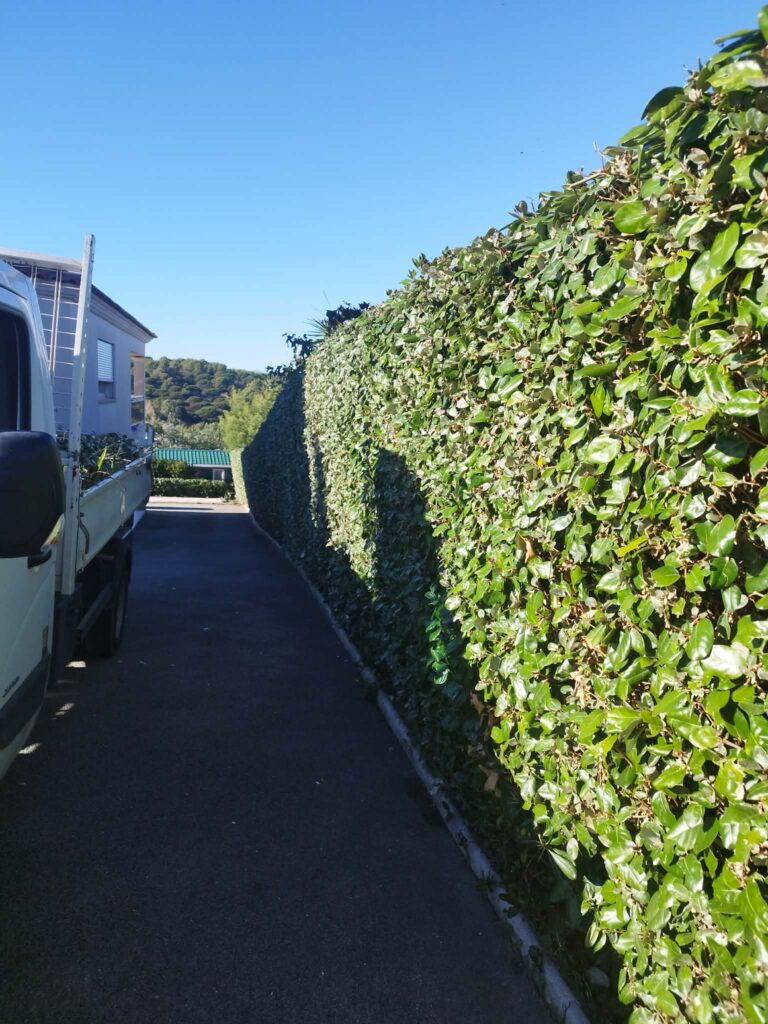 messenger creation 94113ad0 f7d0 4d8f ad7e e8ccab89aff9