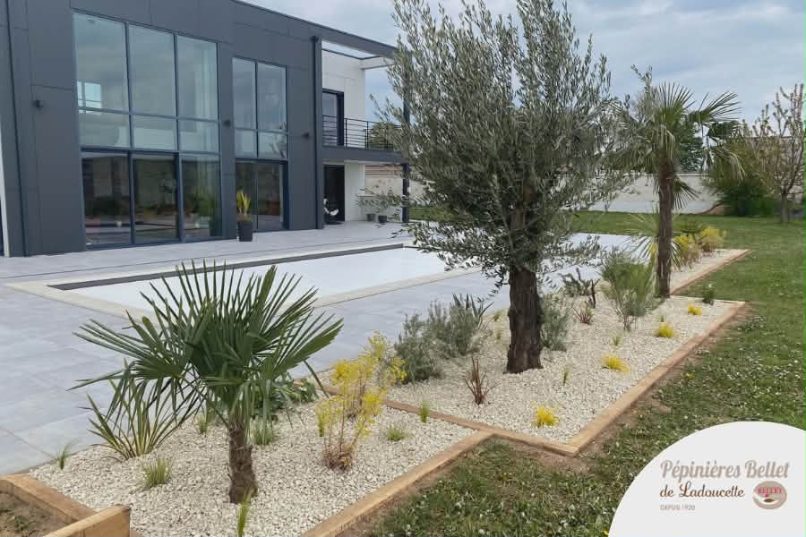 messenger creation e2ced8b3 0ea0 4fc4 b444 f9c04f15794f